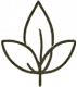 natural-cones
